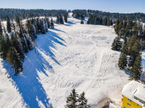 Apartment 112 Ski-in Ski-out Feldberg